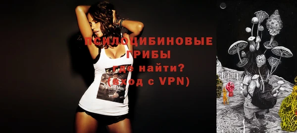 прущая мука Абаза