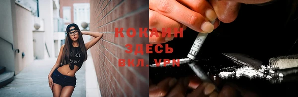 стаф Абинск