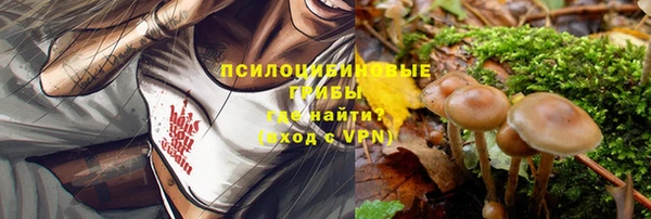 стаф Абинск