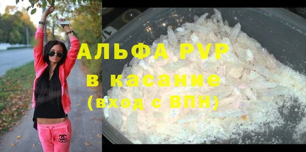 индика Нея